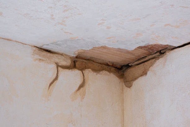Best Flooded house restoration  in San Marcos, TX